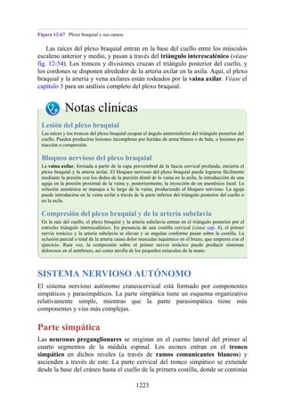 ANATOMIA SNELL 10MA EDICION ESPAÑOL.pdf