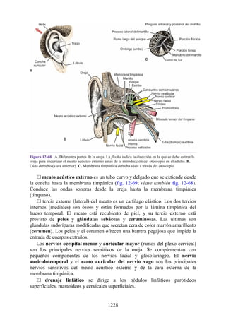 ANATOMIA SNELL 10MA EDICION ESPAÑOL.pdf