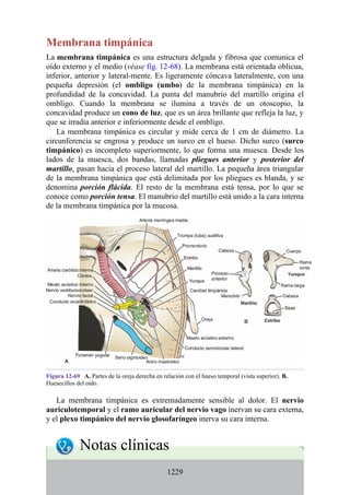 ANATOMIA SNELL 10MA EDICION ESPAÑOL.pdf