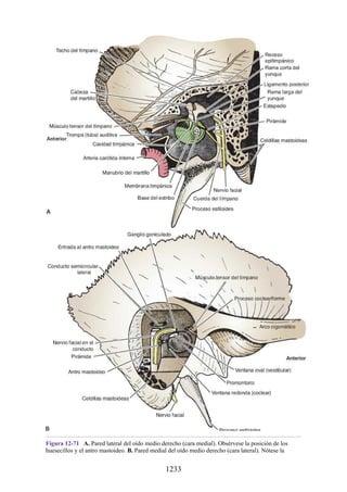 ANATOMIA SNELL 10MA EDICION ESPAÑOL.pdf