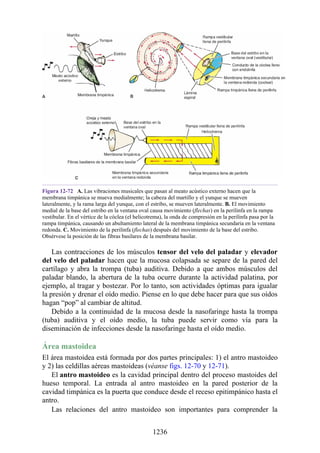 ANATOMIA SNELL 10MA EDICION ESPAÑOL.pdf