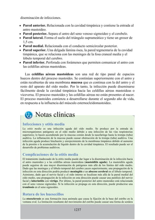 ANATOMIA SNELL 10MA EDICION ESPAÑOL.pdf