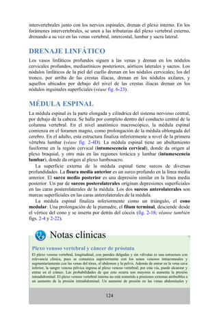 intervertebrales junto con los nervios espinales, drenan el plexo interno. En los
forámenes intervertebrales, se unen a las tributarias del plexo vertebral externo,
drenando a su vez en las venas vertebral, intercostal, lumbar y sacra lateral.
DRENAJE LINFÁTICO
Los vasos linfáticos profundos siguen a las venas y drenan en los nódulos
cervicales profundos, mediastínicos posteriores, aórticos laterales y sacros. Los
nódulos linfáticos de la piel del cuello drenan en los nódulos cervicales; los del
tronco, por arriba de las crestas ilíacas, drenan en los nódulos axilares, y
aquellos ubicados por debajo del nivel de las crestas ilíacas drenan en los
nódulos inguinales superficiales (véase fig. 6-23).
MÉDULA ESPINAL
La médula espinal es la parte elongada y cilíndrica del sistema nervioso central,
por debajo de la cabeza. Se halla por completo dentro del conducto central de la
columna vertebral. En el nivel anatómico macroscópico, la médula espinal
comienza en el foramen magno, como prolongación de la médula oblongada del
cerebro. En el adulto, esta estructura finaliza inferiormente a nivel de la primera
vértebra lumbar (véase fig. 2-4D). La médula espinal tiene un abultamiento
fusiforme en la región cervical (intumescencia cervical), donde da origen al
plexo braquial, y otro más en las regiones torácica y lumbar (intumescencia
lumbar), donde da origen al plexo lumbosacro.
La superficie externa de la médula espinal tiene surcos de diversas
profundidades. La fisura media anterior es un surco profundo en la línea media
anterior. El surco medio posterior es una depresión similar en la línea media
posterior. Un par de surcos posterolaterales originan depresiones superficiales
en las caras posterolaterales de la médula. Los dos surcos anterolaterales son
marcas superficiales en las caras anterolaterales de la médula.
La médula espinal finaliza inferiormente como un triángulo, el cono
medular. Una prolongación de la piamadre, el filum terminal, desciende desde
el vértice del cono y se inserta por detrás del cóccix (fig. 2-18; véanse también
figs. 2-4 y 2-22).
Notas clínicas
Plexo venoso vertebral y cáncer de próstata
El plexo venoso vertebral, longitudinal, con paredes delgadas y sin válvulas es una estructura con
relevancia clínica, pues se comunica superiormente con los senos venosos intracraneales y
segmentariamente con las venas del tórax, el abdomen y la pelvis. Además de entrar en la vena cava
inferior, la sangre venosa pélvica ingresa al plexo venoso vertebral; por esta vía, puede alcanzar y
entrar en el cráneo. Las probabilidades de que esto ocurra son mayores si aumenta la presión
intraabdominal. El plexo venoso vertebral interno no está sometido a presiones externas atribuibles a
un aumento de la presión intraabdominal. Un aumento de presión en las venas abdominales y
124
 