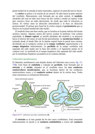 ANATOMIA SNELL 10MA EDICION ESPAÑOL.pdf