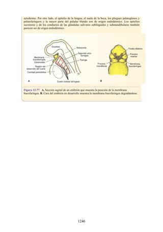 ANATOMIA SNELL 10MA EDICION ESPAÑOL.pdf