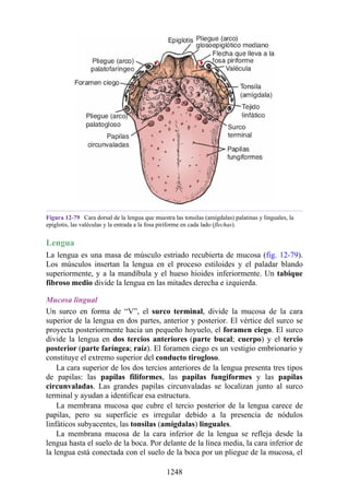 ANATOMIA SNELL 10MA EDICION ESPAÑOL.pdf