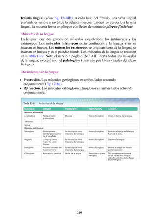 ANATOMIA SNELL 10MA EDICION ESPAÑOL.pdf