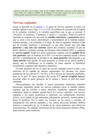 pélvicas suele hacer que la sangre salga de las cavidades abdominal y pélvica se dirija hacia las
venas dentro del conducto vertebral. La morfología de este plexo explica por qué el cáncer de
próstata puede metastatizar hacia la columna vertebral y la cavidad craneal.
Nervios espinales
Como se describe en el capítulo 1, 31 pares de nervios espinales se unen a la
médula espinal (véanse figs. 2-17 a 2-22). Se nombran de acuerdo con la región
de la columna vertebral y la vértebra específicas con la que se asocian: 8
cervicales, 12 torácicos, 5 lumbares, 5 sacros y 1 coccígeo. Todos los nervios
espinales se originan con una serie de raicillas anteriores y posteriores pares,
que se unen a los surcos anterolateral y posterolateral de la médula espinal,
respectivamente, y se extienden a lo largo de todo el segmento medular. Cada
par de raicillas anteriores y posteriores se une para formar una sola raíz
posterior y una sola raíz anterior dentro del conducto vertebral. El par de
raíces anterior y posterior emerge del foramen intervertebral (FIV) y compone
un nervio espinal. Todas las raíces posteriores cuentan con un ganglio de la
raíz posterior, que se localiza en el FIV. Los nervios espinales pasan a través
del FIV e inmediatamente se dividen en un ramo posterior más pequeño y un
ramo anterior más grande. El ramo posterior se divide en los ramos medial y
lateral, que se distribuyen en la espalda. El ramo anterior se distribuye
inicialmente a regiones más laterales y anteriores.
El ramo posterior de los 31 pares de nervios espinales inerva la piel y los
músculos de la espalda de manera segmentaria. No obstante, los ramos
posteriores de los nervios C1, C6-C8 y L4-L5 inervan los músculos profundos,
pero no la piel. El ramo posterior del nervio C2 (nervio occipital mayor)
asciende sobre la parte posterior de la cabeza e inerva la piel del cuero
cabelludo.
Funcionalmente, las raicillas y raíces posteriores transmiten impulsos
sensoriales (aferentes) desde los nervios espinales hacia la médula espinal,
mientras que las raicillas y raíces anteriores transmiten impulsos motores
(eferentes) desde la médula espinal hacia los nervios espinales. Los nervios
espinales y los ramos posteriores y anteriores son componentes nerviosos
mixtos, en el sentido de que transmiten información sensorial y motora desde y
hacia la periferia. Por lo tanto, las lesiones en las raíces y raicillas, en
comparación con nervios espinales y sus ramos, provocan distintos déficits
motores y sensoriales (p. ej., la lesión de las raíces anteriores solo afecta las
motoneuronas). No obstante, las lesiones de los ramos anteriores afectan a fibras
tanto motoras como sensitivas.
125
 