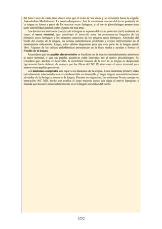 ANATOMIA SNELL 10MA EDICION ESPAÑOL.pdf