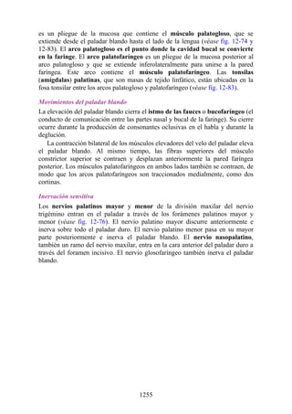 ANATOMIA SNELL 10MA EDICION ESPAÑOL.pdf