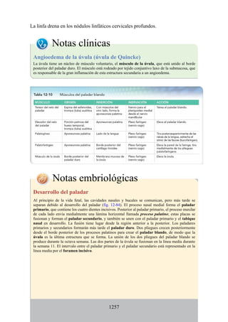ANATOMIA SNELL 10MA EDICION ESPAÑOL.pdf