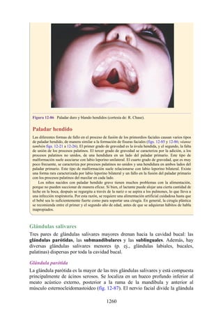 ANATOMIA SNELL 10MA EDICION ESPAÑOL.pdf
