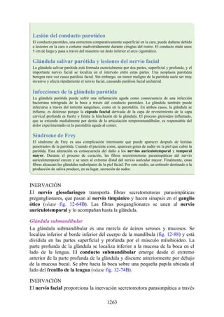 ANATOMIA SNELL 10MA EDICION ESPAÑOL.pdf
