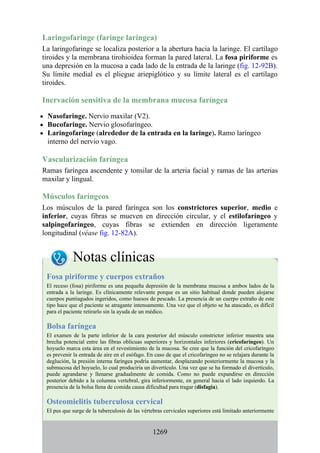 ANATOMIA SNELL 10MA EDICION ESPAÑOL.pdf
