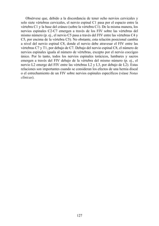 Obsérvese que, debido a la discordancia de tener ocho nervios cervicales y
solo siete vértebras cervicales, el nervio espinal C1 pasa por el espacio entre la
vértebra C1 y la base del cráneo (sobre la vértebra C1). De la misma manera, los
nervios espinales C2-C7 emergen a través de los FIV sobre las vértebras del
mismo número (p. ej., el nervio C5 pasa a través del FIV entre las vértebras C4 y
C5, por encima de la vértebra C5). No obstante, esta relación posicional cambia
a nivel del nervio espinal C8, donde el nervio debe atravesar el FIV entre las
vértebras C7 y T1, por debajo de C7. Debajo del nervio espinal C8, el número de
nervios espinales iguala al número de vértebras, excepto por el nervio coccígeo
único. Por lo tanto, todos los nervios espinales torácicos, lumbares y sacros
emergen a través del FIV debajo de la vértebra del mismo número (p. ej., el
nervio L2 emerge del FIV entre las vértebras L2 y L3, por debajo de L2). Estas
relaciones son importantes cuando se consideran los efectos de una hernia discal
o el estrechamiento de un FIV sobre nervios espinales específicos (véase Notas
clínicas).
127
 
