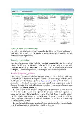 ANATOMIA SNELL 10MA EDICION ESPAÑOL.pdf