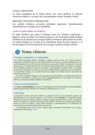 ANATOMIA SNELL 10MA EDICION ESPAÑOL.pdf