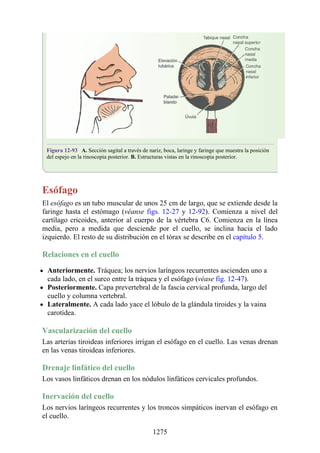 ANATOMIA SNELL 10MA EDICION ESPAÑOL.pdf