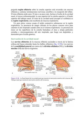 ANATOMIA SNELL 10MA EDICION ESPAÑOL.pdf