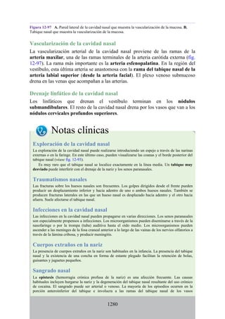 ANATOMIA SNELL 10MA EDICION ESPAÑOL.pdf