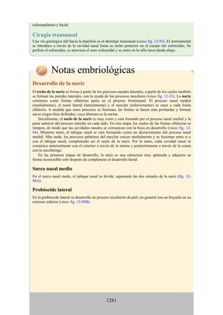 ANATOMIA SNELL 10MA EDICION ESPAÑOL.pdf