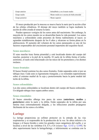 ANATOMIA SNELL 10MA EDICION ESPAÑOL.pdf
