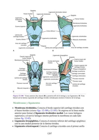 ANATOMIA SNELL 10MA EDICION ESPAÑOL.pdf