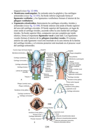 ANATOMIA SNELL 10MA EDICION ESPAÑOL.pdf