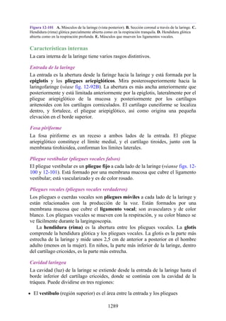 ANATOMIA SNELL 10MA EDICION ESPAÑOL.pdf