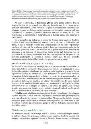 ANATOMIA SNELL 10MA EDICION ESPAÑOL.pdf