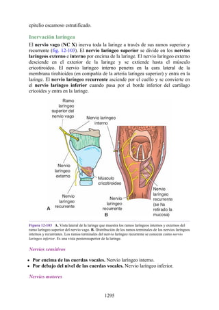 ANATOMIA SNELL 10MA EDICION ESPAÑOL.pdf