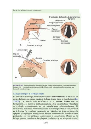 ANATOMIA SNELL 10MA EDICION ESPAÑOL.pdf