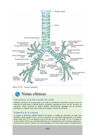 ANATOMIA SNELL 10MA EDICION ESPAÑOL.pdf