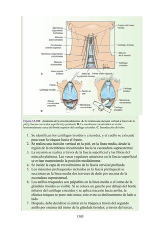 ANATOMIA SNELL 10MA EDICION ESPAÑOL.pdf
