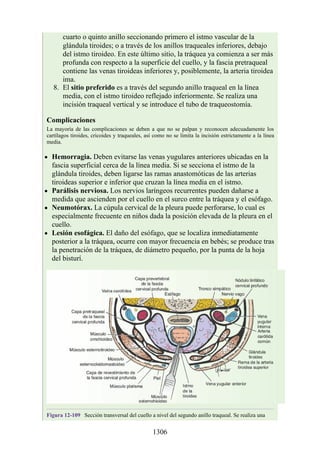 ANATOMIA SNELL 10MA EDICION ESPAÑOL.pdf