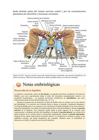 ANATOMIA SNELL 10MA EDICION ESPAÑOL.pdf
