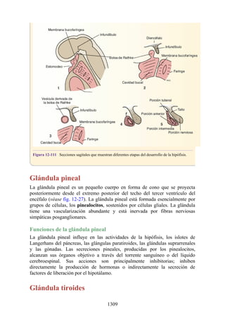 ANATOMIA SNELL 10MA EDICION ESPAÑOL.pdf