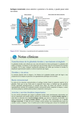 ANATOMIA SNELL 10MA EDICION ESPAÑOL.pdf