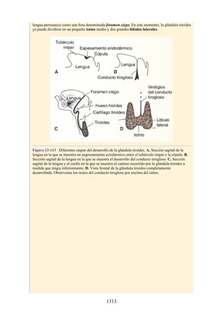 ANATOMIA SNELL 10MA EDICION ESPAÑOL.pdf