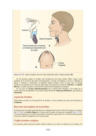 ANATOMIA SNELL 10MA EDICION ESPAÑOL.pdf