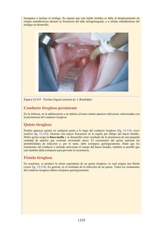 ANATOMIA SNELL 10MA EDICION ESPAÑOL.pdf