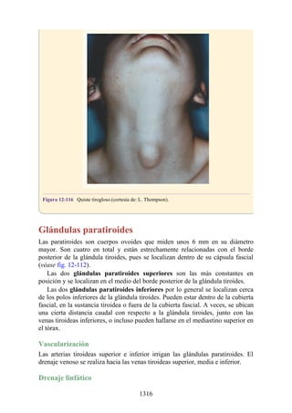 ANATOMIA SNELL 10MA EDICION ESPAÑOL.pdf
