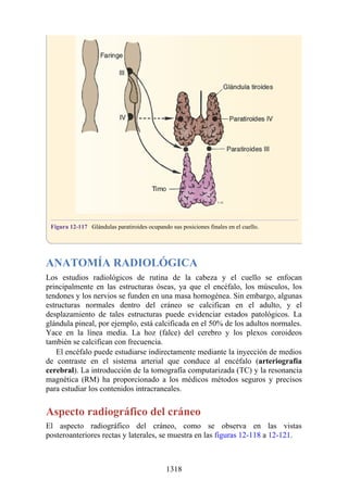 ANATOMIA SNELL 10MA EDICION ESPAÑOL.pdf