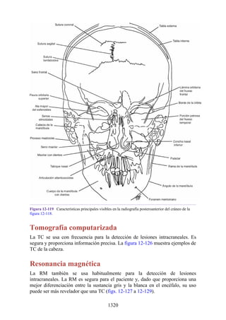 ANATOMIA SNELL 10MA EDICION ESPAÑOL.pdf