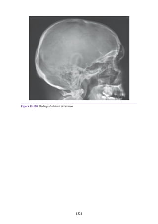 ANATOMIA SNELL 10MA EDICION ESPAÑOL.pdf