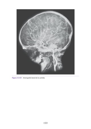 ANATOMIA SNELL 10MA EDICION ESPAÑOL.pdf