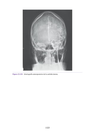 ANATOMIA SNELL 10MA EDICION ESPAÑOL.pdf