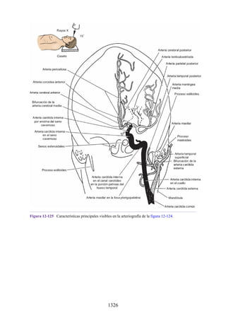 ANATOMIA SNELL 10MA EDICION ESPAÑOL.pdf