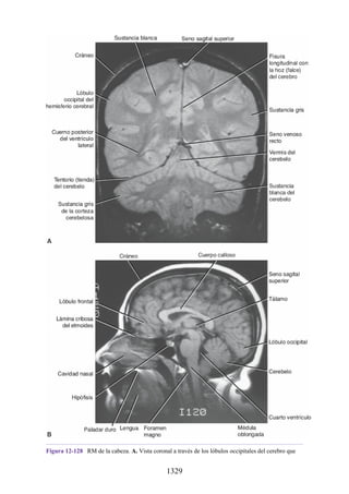 ANATOMIA SNELL 10MA EDICION ESPAÑOL.pdf
