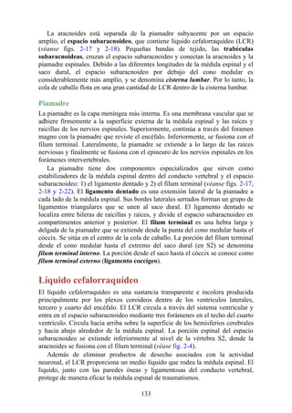 La aracnoides está separada de la piamadre subyacente por un espacio
amplio, el espacio subaracnoideo, que contiene líquido cefalorraquídeo (LCR)
(véanse figs. 2-17 y 2-18). Pequeñas bandas de tejido, las trabéculas
subaracnoideas, cruzan el espacio subaracnoideo y conectan la aracnoides y la
piamadre espinales. Debido a las diferentes longitudes de la médula espinal y el
saco dural, el espacio subaracnoideo por debajo del cono medular es
considerablemente más amplio, y se denomina cisterna lumbar. Por lo tanto, la
cola de caballo flota en una gran cantidad de LCR dentro de la cisterna lumbar.
Piamadre
La piamadre es la capa meníngea más interna. Es una membrana vascular que se
adhiere firmemente a la superficie externa de la médula espinal y las raíces y
raicillas de los nervios espinales. Superiormente, continúa a través del foramen
magno con la piamadre que reviste el encéfalo. Inferiormente, se fusiona con el
filum terminal. Lateralmente, la piamadre se extiende a lo largo de las raíces
nerviosas y finalmente se fusiona con el epineuro de los nervios espinales en los
forámenes intervertebrales.
La piamadre tiene dos componentes especializados que sirven como
estabilizadores de la médula espinal dentro del conducto vertebral y el espacio
subaracnoideo: 1) el ligamento dentado y 2) el filum terminal (véanse figs. 2-17,
2-18 y 2-22). El ligamento dentado es una extensión lateral de la piamadre a
cada lado de la médula espinal. Sus bordes laterales serrados forman un grupo de
ligamentos triangulares que se unen al saco dural. El ligamento dentado se
localiza entre hileras de raicillas y raíces, y divide el espacio subaracnoideo en
compartimentos anterior y posterior. El filum terminal es una hebra larga y
delgada de la piamadre que se extiende desde la punta del cono medular hasta el
cóccix. Se sitúa en el centro de la cola de caballo. La porción del filum terminal
desde el cono medular hasta el extremo del saco dural (en S2) se denomina
filum terminal interno. La porción desde el saco hasta el cóccix se conoce como
filum terminal externo (ligamento coccígeo).
Líquido cefalorraquídeo
El líquido cefalorraquídeo es una sustancia transparente e incolora producida
principalmente por los plexos coroideos dentro de los ventrículos laterales,
tercero y cuarto del encéfalo. El LCR circula a través del sistema ventricular y
entra en el espacio subaracnoideo mediante tres forámenes en el techo del cuarto
ventrículo. Circula hacia arriba sobre la superficie de los hemisferios cerebrales
y hacia abajo alrededor de la médula espinal. La porción espinal del espacio
subaracnoideo se extiende inferiormente al nivel de la vértebra S2, donde la
aracnoides se fusiona con el filum terminal (véase fig. 2-4).
Además de eliminar productos de desecho asociados con la actividad
neuronal, el LCR proporciona un medio líquido que rodea la médula espinal. El
líquido, junto con las paredes óseas y ligamentosas del conducto vertebral,
protege de manera eficaz la médula espinal de traumatismos.
133
 